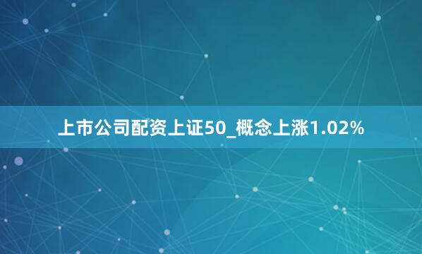 上市公司配资上证50_概念上涨1.02%