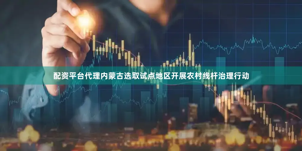 配资平台代理内蒙古选取试点地区开展农村线杆治理行动
