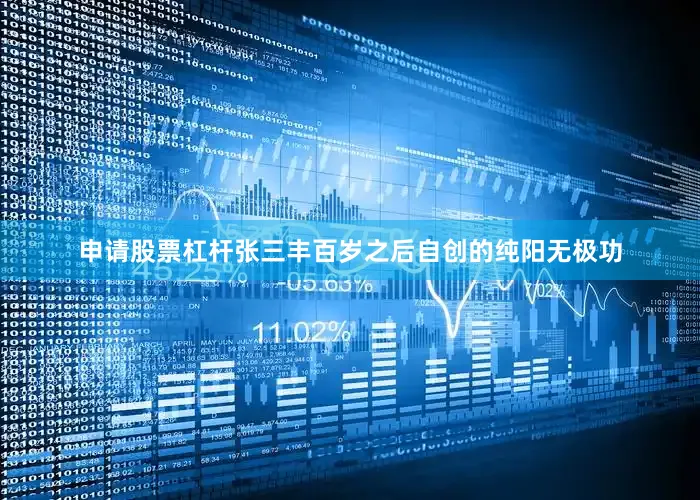 申请股票杠杆张三丰百岁之后自创的纯阳无极功