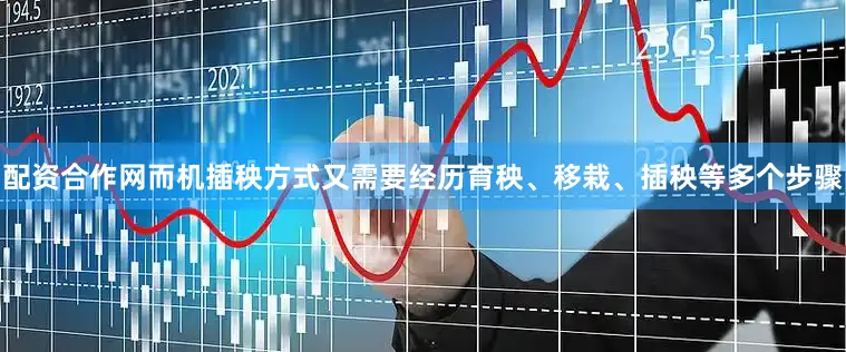 配资合作网而机插秧方式又需要经历育秧、移栽、插秧等多个步骤