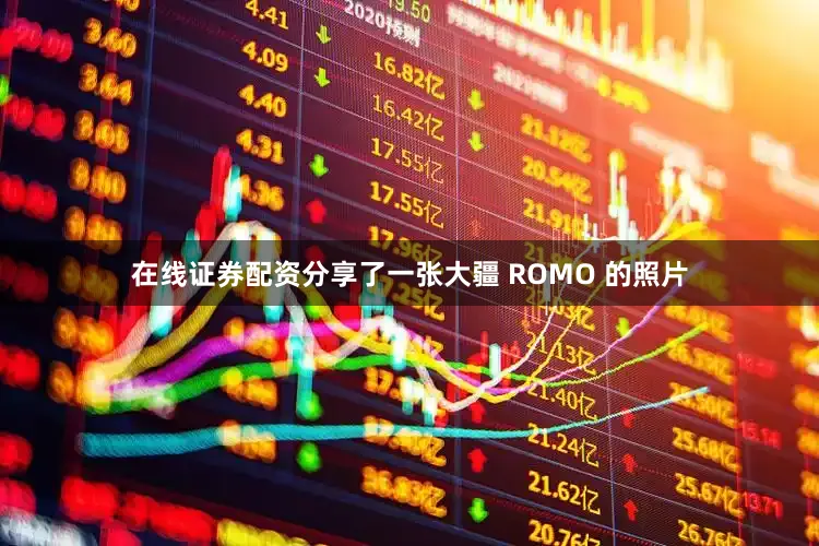 在线证券配资分享了一张大疆 ROMO 的照片