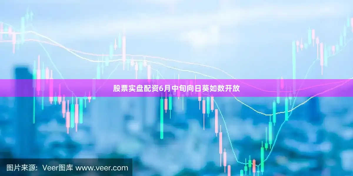 股票实盘配资6月中旬向日葵如数开放