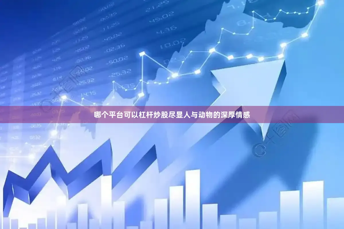 哪个平台可以杠杆炒股尽显人与动物的深厚情感